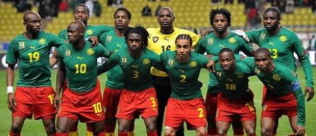 Camerun, ultima calificata la barajul african pentru Cupa Mondiala din 2014 (video)